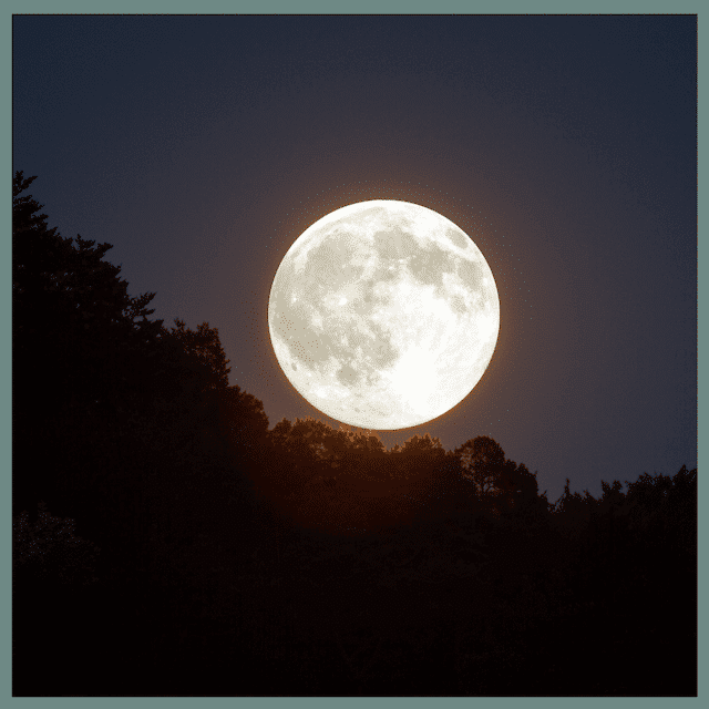 Full moon rising about the trees during our Full Moon Women's Circle in Cumbria